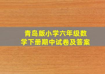 青岛版小学六年级数学下册期中试卷及答案