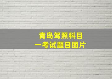 青岛驾照科目一考试题目图片