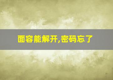 面容能解开,密码忘了