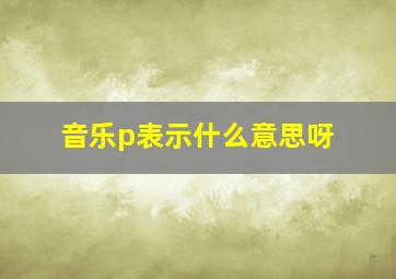 音乐p表示什么意思呀