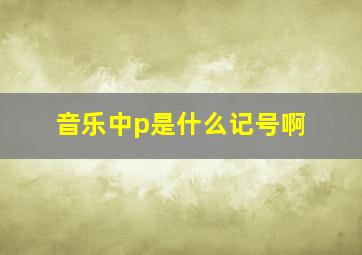 音乐中p是什么记号啊