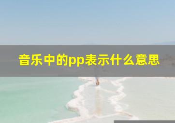 音乐中的pp表示什么意思