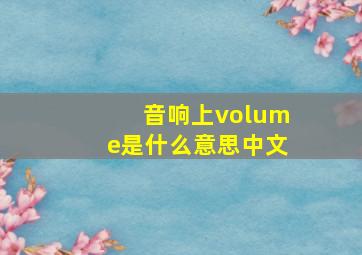 音响上volume是什么意思中文