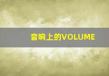 音响上的VOLUME