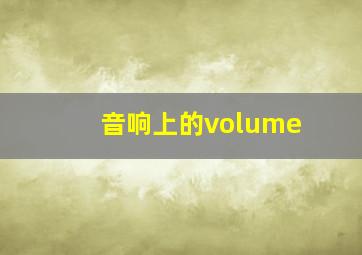 音响上的volume