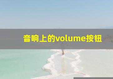 音响上的volume按钮