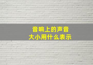 音响上的声音大小用什么表示