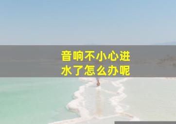 音响不小心进水了怎么办呢