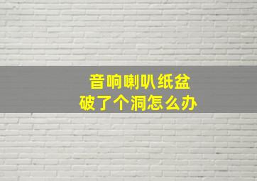 音响喇叭纸盆破了个洞怎么办