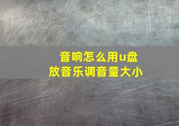 音响怎么用u盘放音乐调音量大小