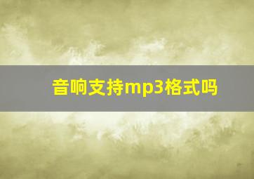 音响支持mp3格式吗