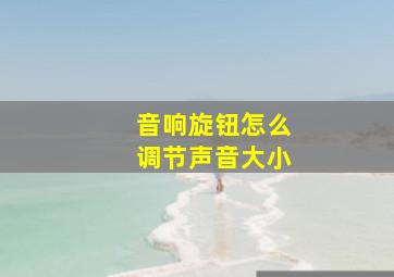 音响旋钮怎么调节声音大小