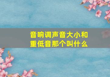 音响调声音大小和重低音那个叫什么