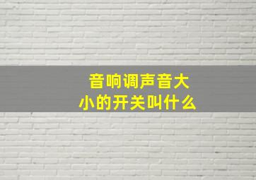 音响调声音大小的开关叫什么