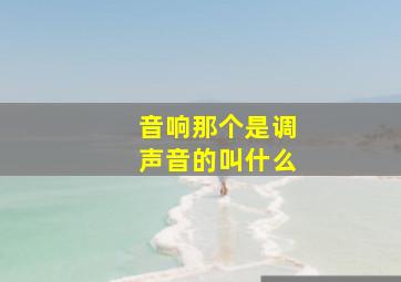 音响那个是调声音的叫什么