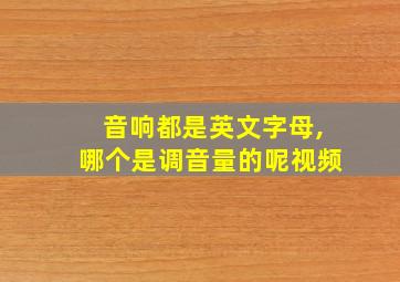 音响都是英文字母,哪个是调音量的呢视频