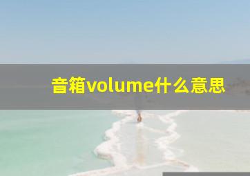 音箱volume什么意思