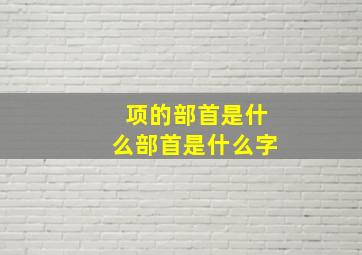 项的部首是什么部首是什么字