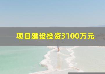 项目建设投资3100万元