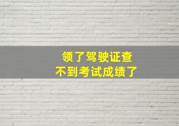 领了驾驶证查不到考试成绩了