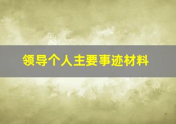 领导个人主要事迹材料