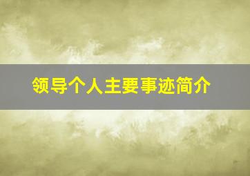 领导个人主要事迹简介