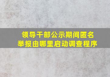 领导干部公示期间匿名举报由哪里启动调查程序