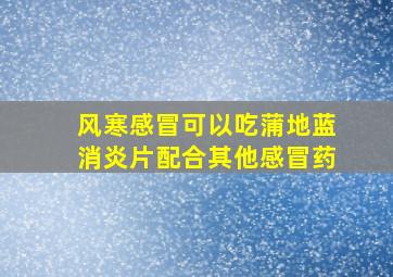 风寒感冒可以吃蒲地蓝消炎片配合其他感冒药