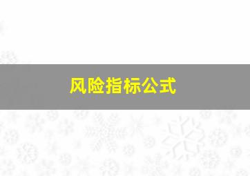 风险指标公式