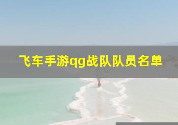 飞车手游qg战队队员名单