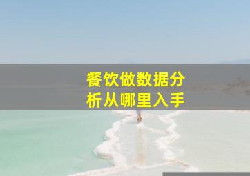 餐饮做数据分析从哪里入手