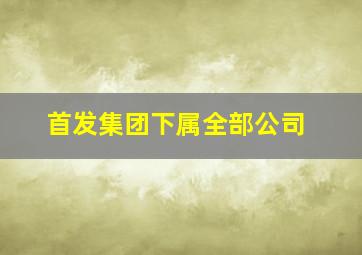 首发集团下属全部公司