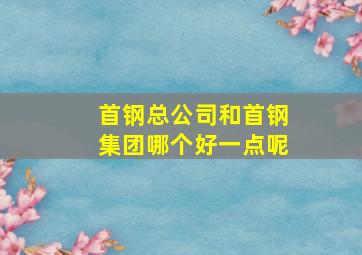 首钢总公司和首钢集团哪个好一点呢