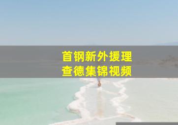 首钢新外援理查德集锦视频