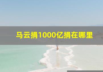 马云捐1000亿捐在哪里