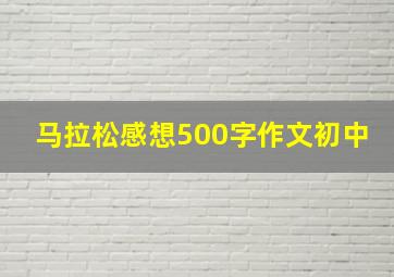 马拉松感想500字作文初中