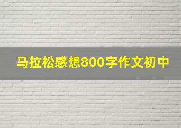 马拉松感想800字作文初中