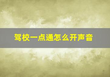 驾校一点通怎么开声音