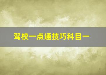 驾校一点通技巧科目一