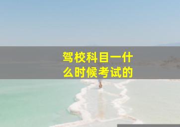 驾校科目一什么时候考试的