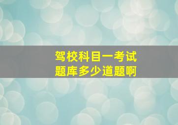 驾校科目一考试题库多少道题啊