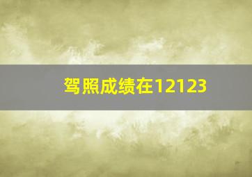 驾照成绩在12123