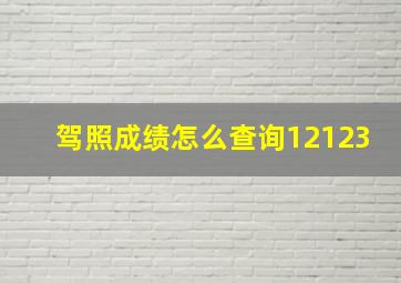 驾照成绩怎么查询12123