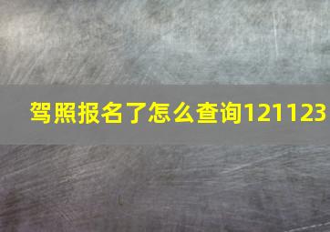 驾照报名了怎么查询121123