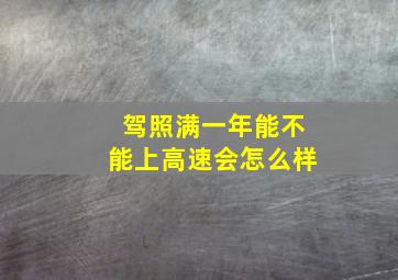 驾照满一年能不能上高速会怎么样