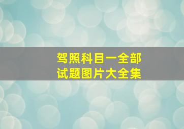 驾照科目一全部试题图片大全集