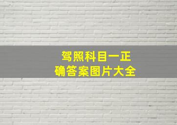 驾照科目一正确答案图片大全