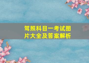 驾照科目一考试图片大全及答案解析