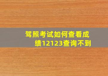 驾照考试如何查看成绩12123查询不到