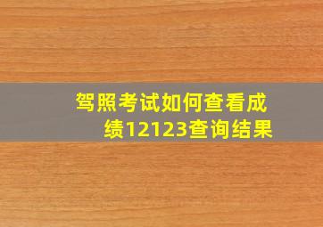 驾照考试如何查看成绩12123查询结果